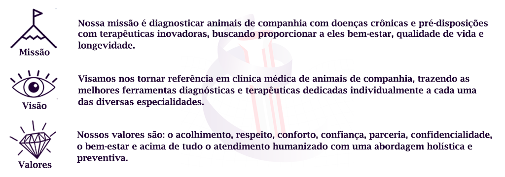 emerge-missao-visao-valor-clinica-v2 Divisão Clínica de Especialidades