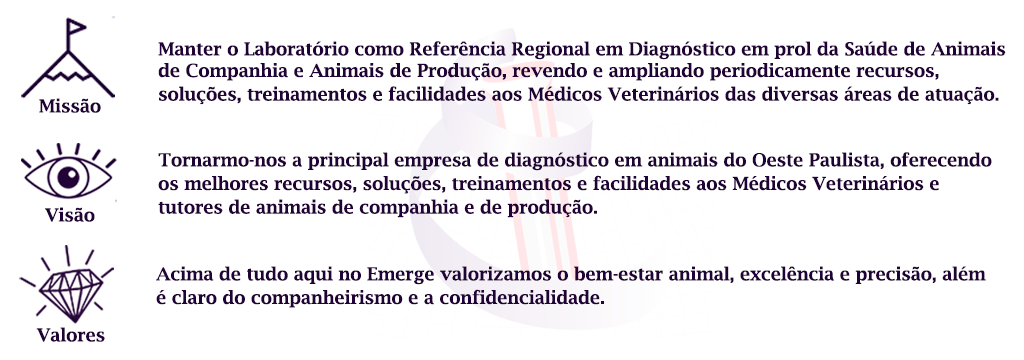 emerge-missao-visao-valor-laboratorio-v2 Medicina Laboratorial